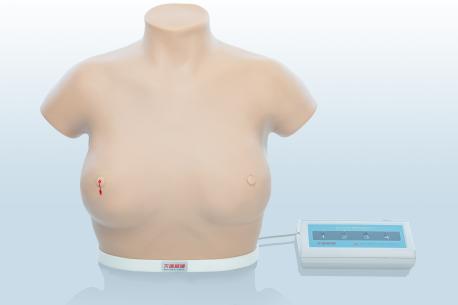 電子乳腺癌觸診、視診訓練模型